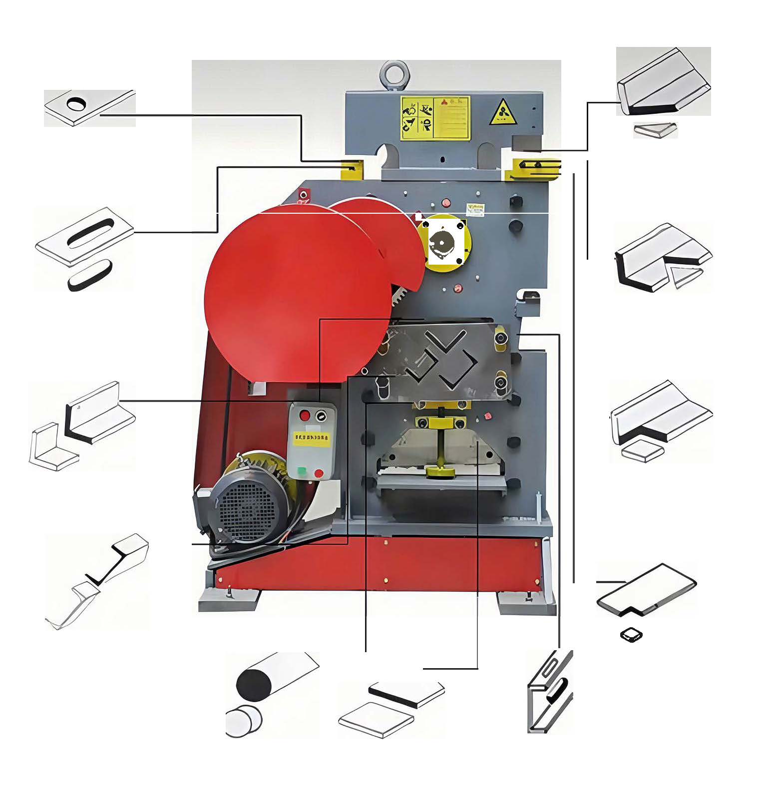 kortex